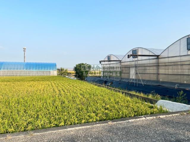 嘉義民雄農地-1