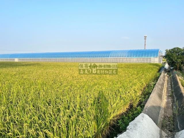 嘉義民雄農地-2