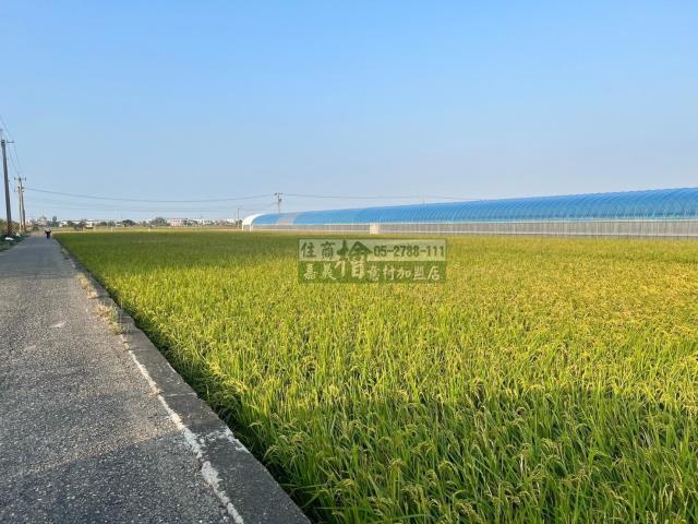 嘉義民雄農地-3