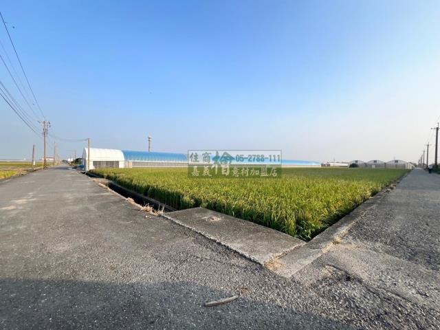 嘉義民雄農地-4