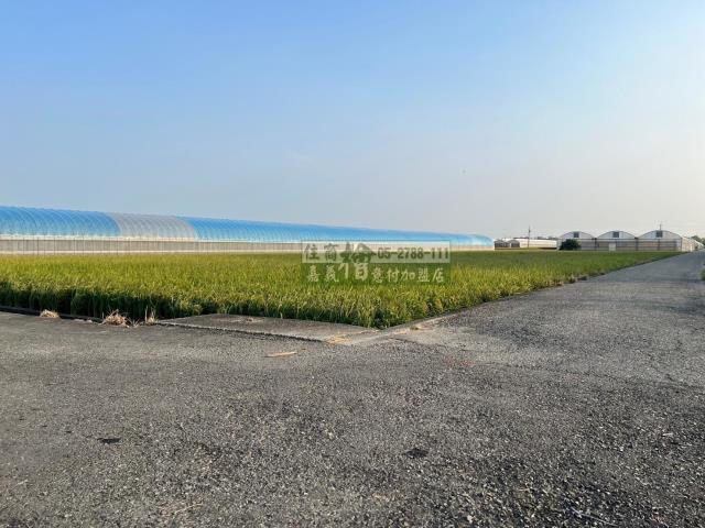 嘉義民雄農地-5