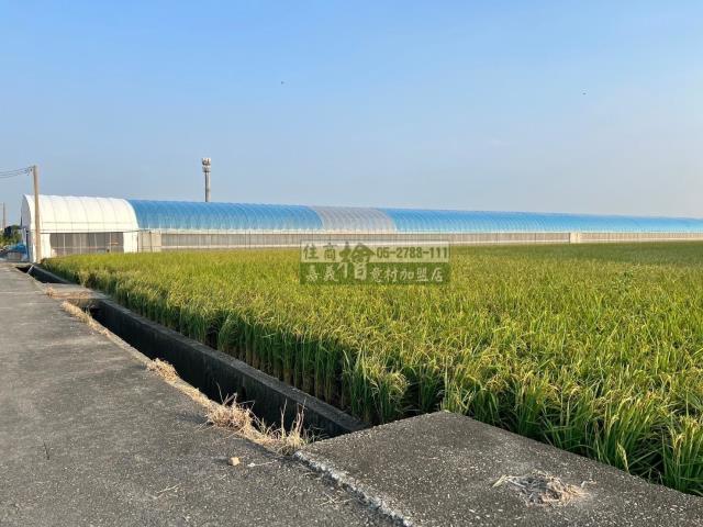 嘉義民雄農地-6