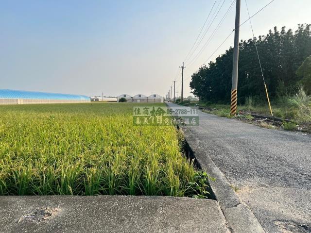 嘉義民雄農地-7