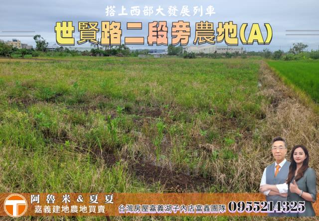 嘉義西區農地-0