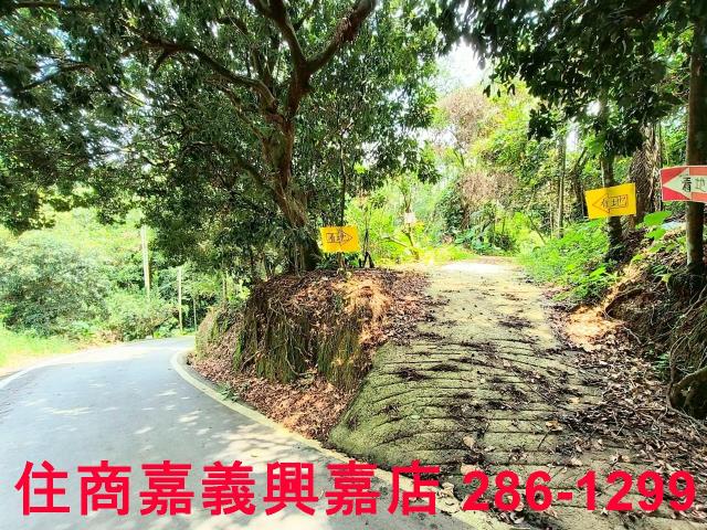 嘉義竹崎農地-0