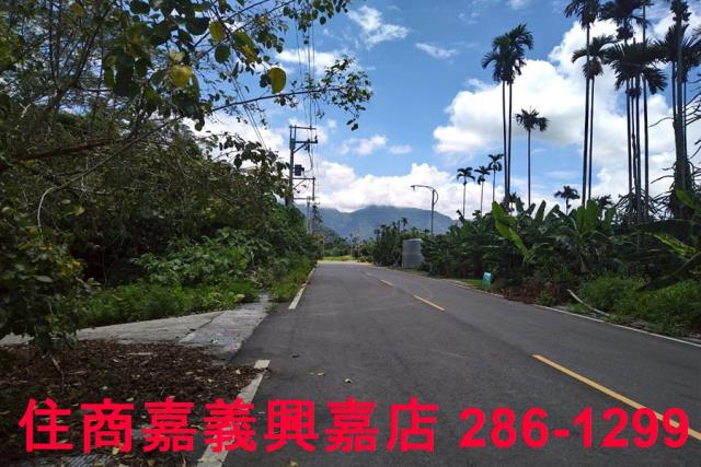 嘉義番路農地-9