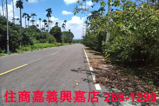 嘉義番路農地-0