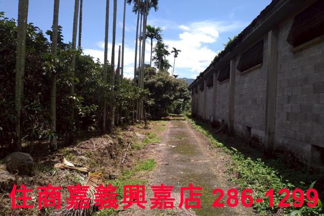 嘉義番路農地-1