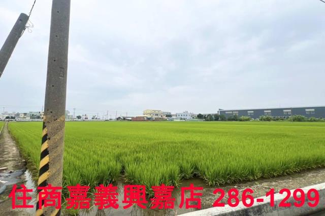 嘉義新港農地-6