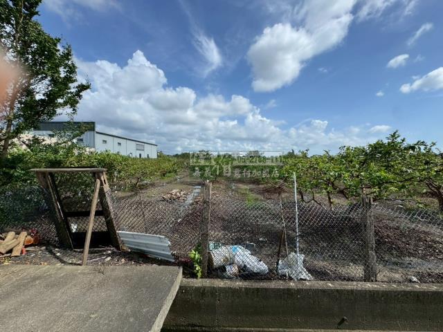 嘉義水上農地-0