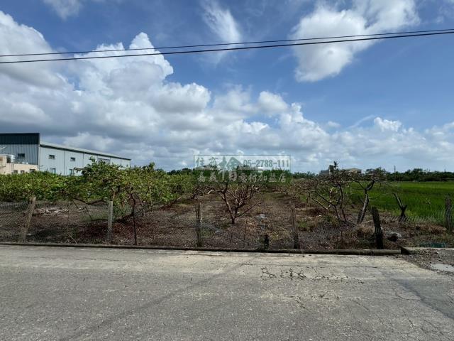 嘉義水上農地-2