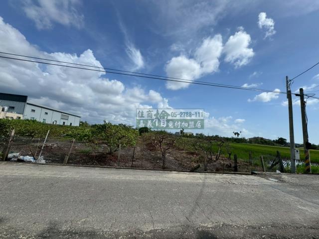 嘉義水上農地-3