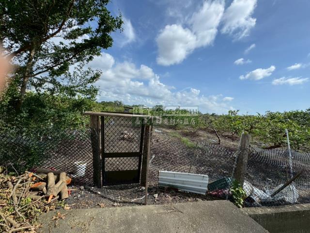 嘉義水上農地-4