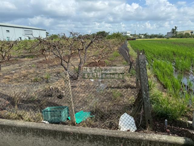 嘉義水上農地-5