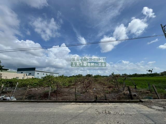 嘉義水上農地-6