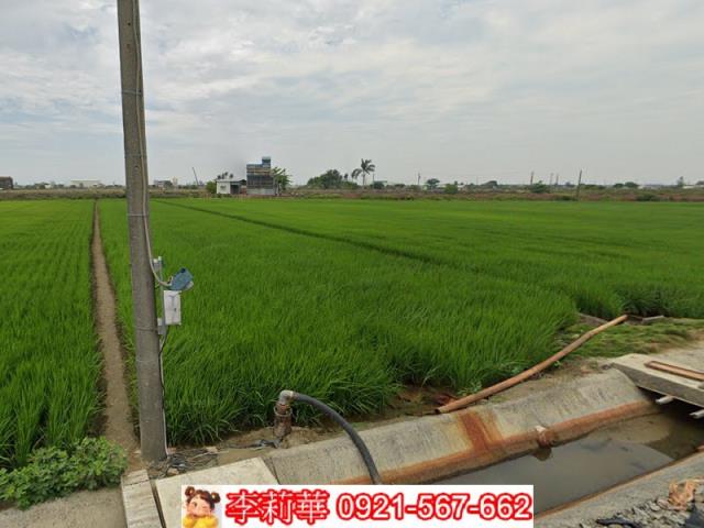 嘉義東石農地-8