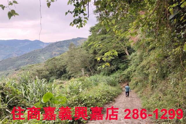 嘉義梅山農地-9