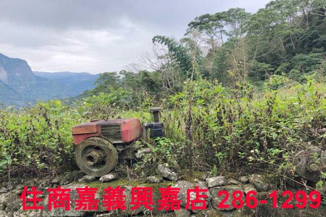 嘉義梅山農地-0