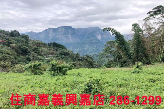 嘉義梅山農地-1
