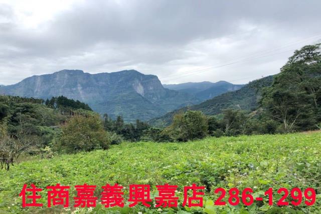 嘉義梅山農地-2
