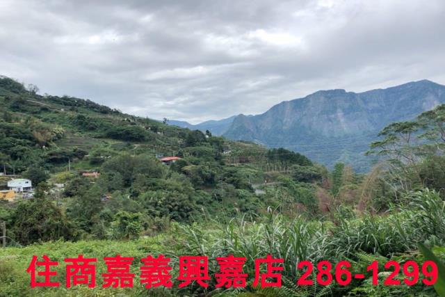 嘉義梅山農地-3