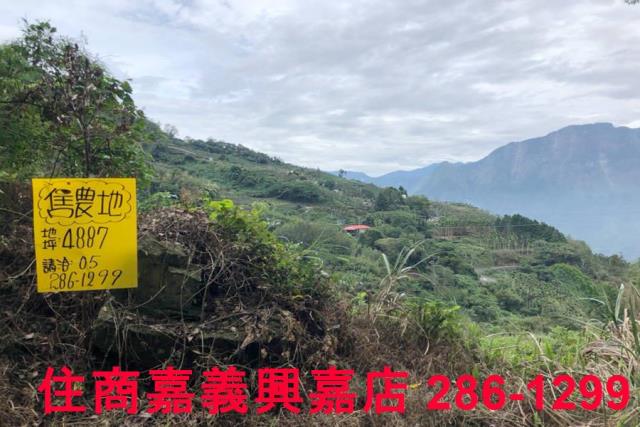 嘉義梅山農地-5