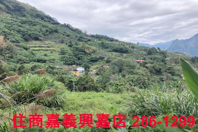 嘉義梅山農地-6