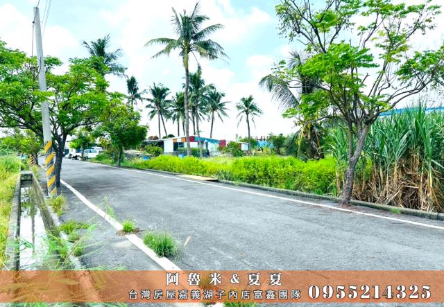 嘉義水上農地-1