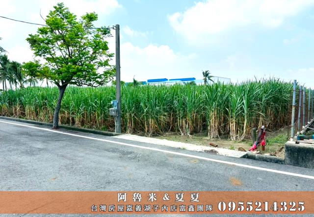 嘉義水上農地-2