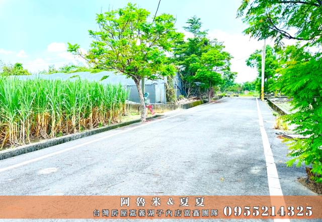 嘉義水上農地-3