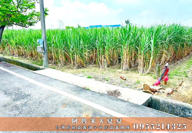 嘉義水上農地-4