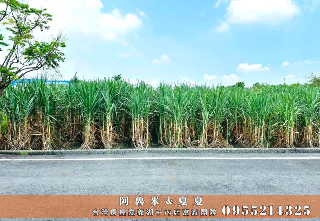 嘉義水上農地-5
