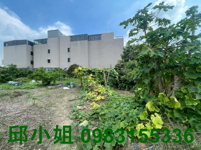 嘉義水上建地-0