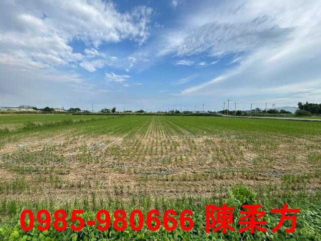 嘉義朴子農地-13