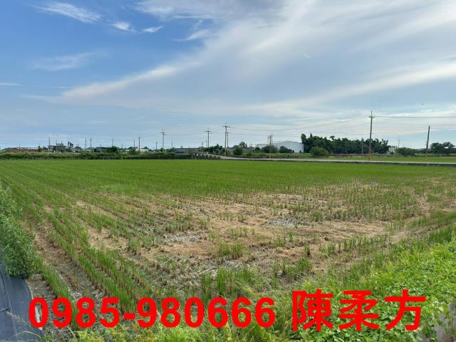 嘉義朴子農地-14