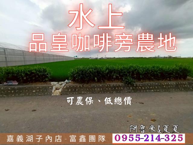 嘉義水上農地-0