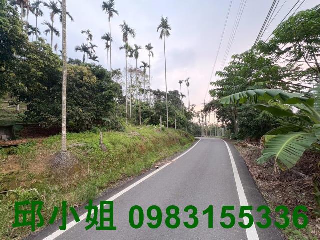 嘉義中埔農地-1