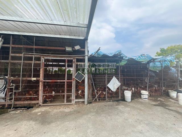 嘉義中埔農地-4