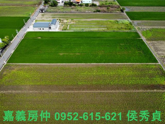 嘉義新港農地-7