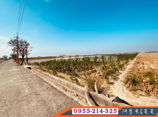 嘉義六腳農地-1