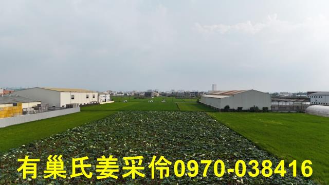 民雄農地-10