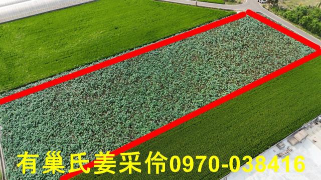 民雄農地-0