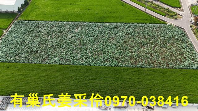 民雄農地-1