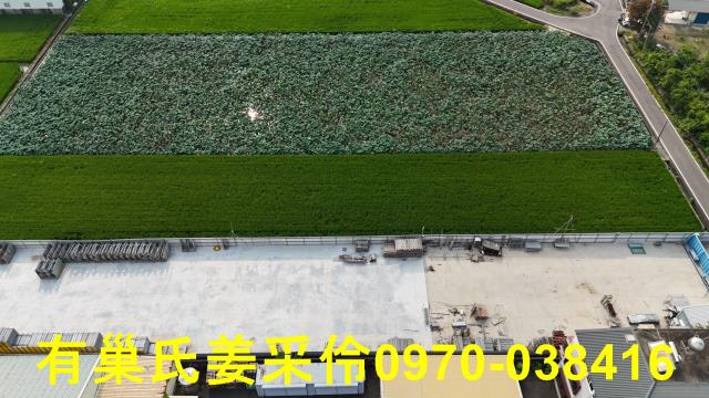 民雄農地-5