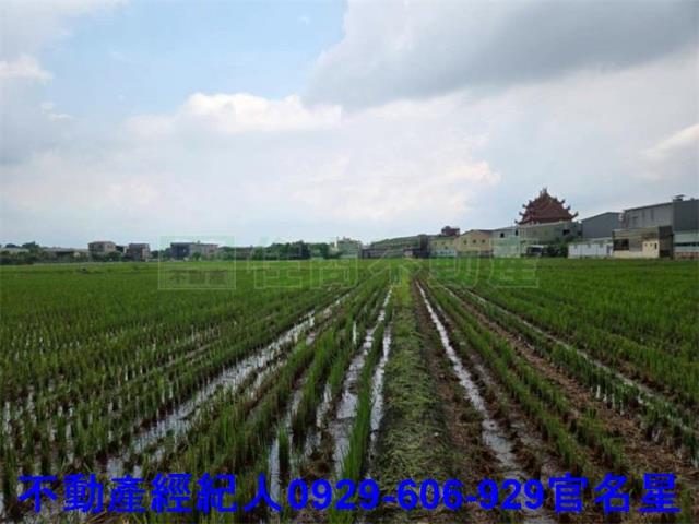 嘉義農地-3