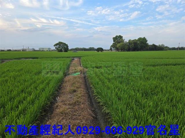 嘉義西區農地-1