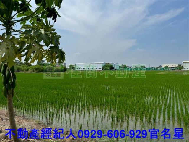 嘉義東區農地-5