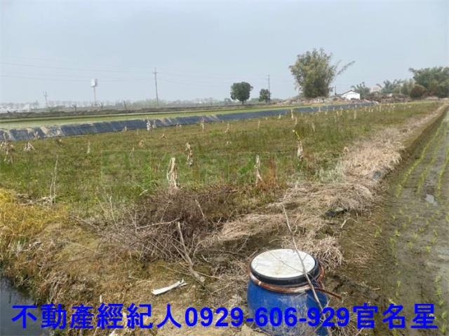 嘉義西區農地-3