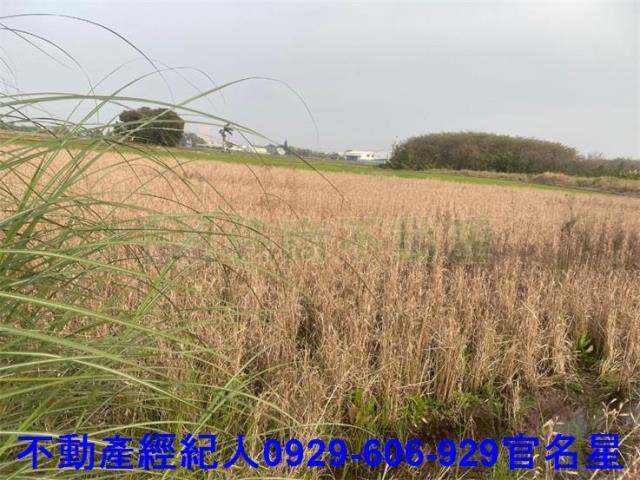 嘉義西區農地-1