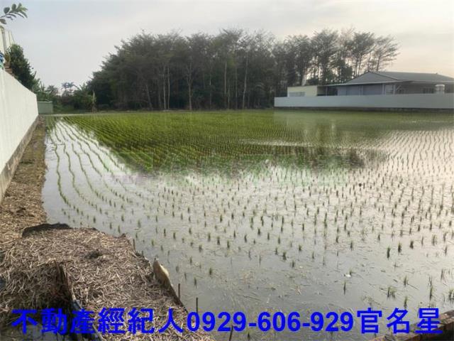 嘉義西區農地-1